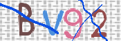 Kontrolní text